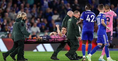 Seamus Coleman hailed for gesture to fans and teammates after injury