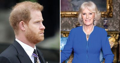 Prince Harry will HAVE to bow to Queen Camilla and keep 'side show' at bay