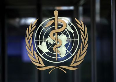 WHO says risk 'moderate' after laboratory in Sudan seized by fighters