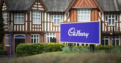 Thousands of Cadbury treats recalled over fears of listeria contamination