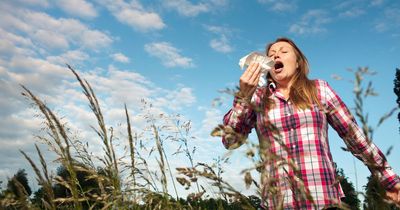 Glasgow weather pollen levels during King's Coronation celebrations this week