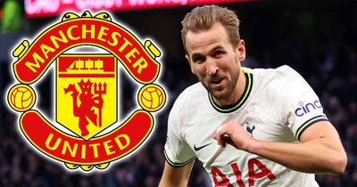 Man Utd urged to become a "different animal" by signing Harry Kane in transfer repeat