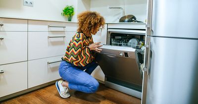 Woman who wants two dishwashers sparks furious debate and some think she's a genius