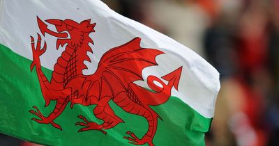 Welsh language blunder spotted on UK Government allegiance oath webpage