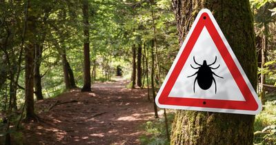 West Dunbartonshire school curriculum to include Lyme Disease prevention