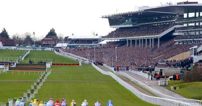 Racing Media Group making record payment to racecourse shareholders