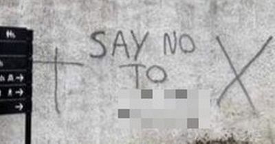 Homophobic, pro-Nazi graffiti appears in Co Down village
