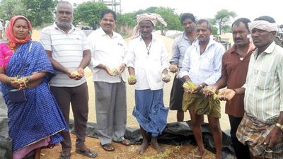 Unseasonal rains, hailstorm have broken and pushed many farmers into debt trap