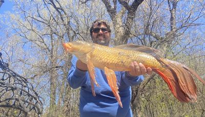 Midwest Fishing Report: As one season closes in Illinois, another opens in Wisconsin