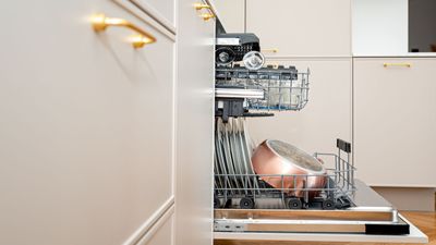 Where to put a dishwasher in a small kitchen – 5 places picked by professionals