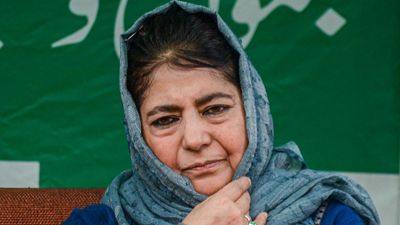 Build further on LoC ceasefire, revive SAARC for lasting peace in J&K, says PDP resolution
