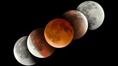 Lunar eclipse May 2023: What the Lunar eclipse in Scorpio means for your Zodiac sign – especially if you’re Cancer or Taurus
