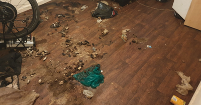 Man who kept dog in 'filthy' flat full of faeces and swarming with flies jailed