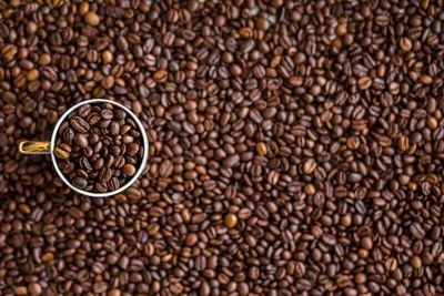 Coffee Prices Rally on Weaker Dollar
