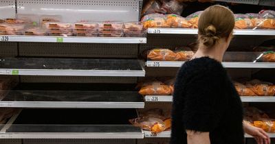 Supermarket shelves left empty as UK chicken shortage reaches 'breaking point'