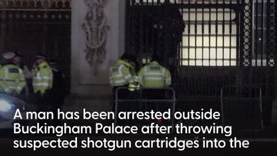 Controlled explosion outside Buckingham Palace after man arrested for throwing ‘gun cartridges’ into grounds