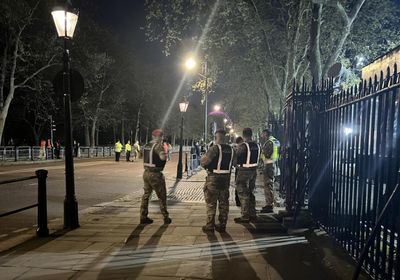 Man arrested outside Buckingham Palace for throwing ‘shotgun cartridges' into grounds