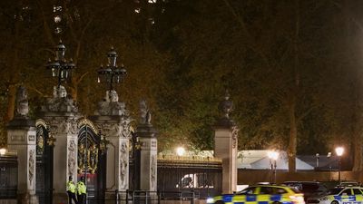 Man arrested after suspected shotgun cartridges thrown into Buckingham Palace grounds
