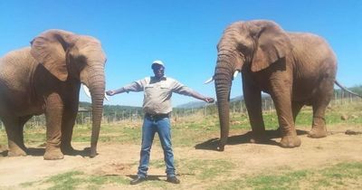 Safari ranger gored to death by massive elephant after beast opened gate and fled