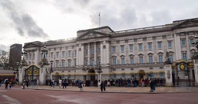 Controlled explosion outside Buckingham Palace after 'shotgun cartridges' thrown into grounds