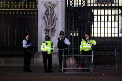 Man arrested after ‘shotgun cartridges thrown into grounds of Buckingham Palace’