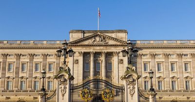 Buckingham Palace in lockdown as man arrested after shotgun pellets found