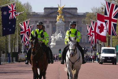 Man arrested outside Buckingham Palace with suspected weapon