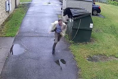 ‘A complete surprise’: Bear scares principal by jumping out of bin at US school