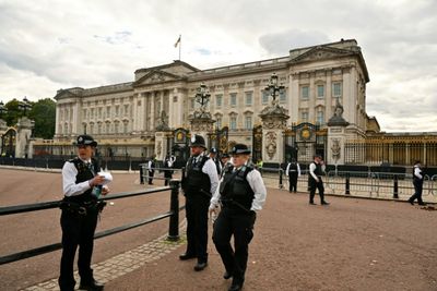 Police detain man after 'shotgun cartridges' thrown into Buckingham Palace