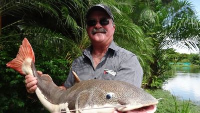 Police say Far North Queensland man Kevin Darmody's remains found in crocodiles