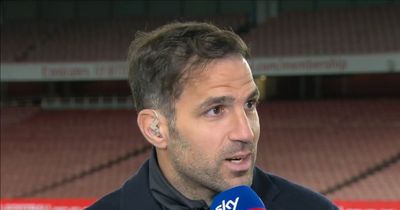 Cesc Fabregas opens up on what he's noticed from watching Arsenal training in private