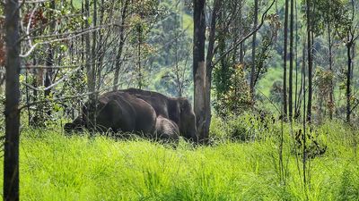 Top Kerala news developments today