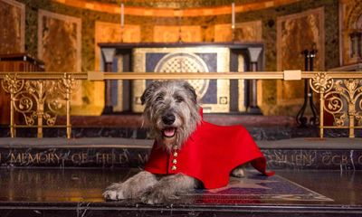 TV tonight: a royal coat fitting for a dog ahead of the coronation