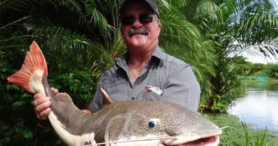 Missing Australian fisherman's body discovered inside crocodile