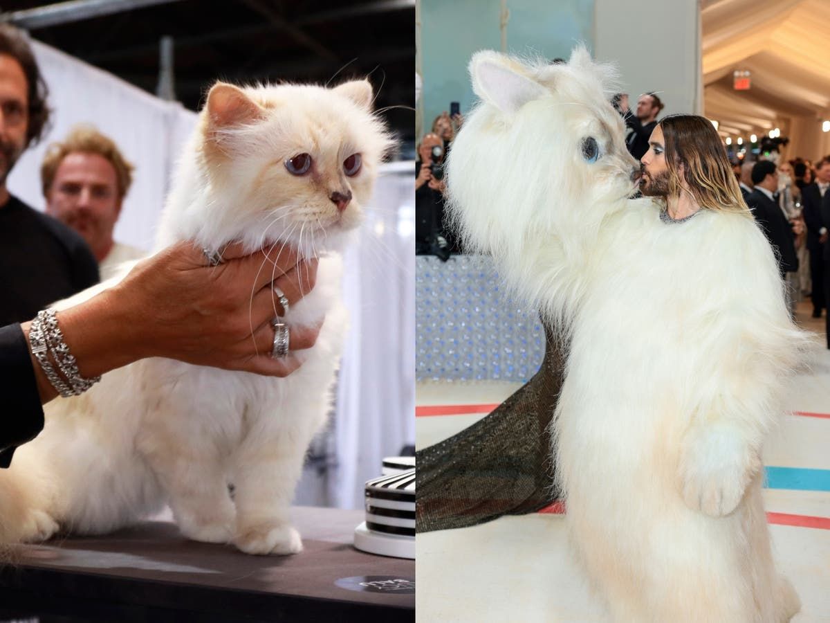 Karl Lagerfeld’s Cat Choupette ‘unimpressed’ By Jared…