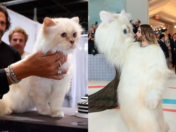Meet Karl Lagerfeld's cat, the unlikely star of the Met Gala