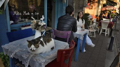 Turkish Inflation Slows to 43.7% in April Ahead of Elections