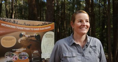 Hear the croaks: frog ponds a 'refuge' for threatened species