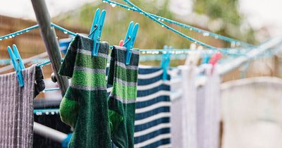 Shoppers saving a fortune with supermarket's £1.75 laundry detergent the 'closest to Fairy you’ll get'