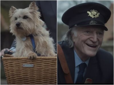 Pet lovers reduced to tears by Lewis Capaldi’s new music video: ‘Never sobbed so much’