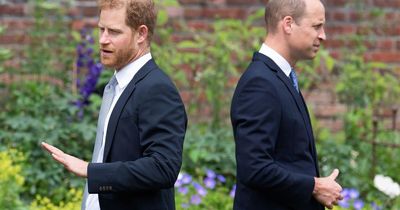 Prince Harry 'resentment towards 'calculated' William who he believes 'made him the spare'