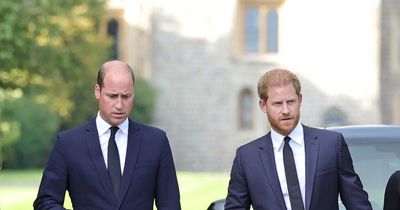 Royal expert spots Prince Harry's 'resentment' for his brother ahead of Coronation