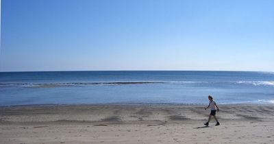 Nan's warning to dog owners after trip to the beach