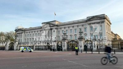 Buckingham Palace incident: Man ‘asked to speak to soldier’ before throwing shotgun cartridges