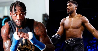 Anthony Joshua and Deontay Wilder finalising terms for December showdown