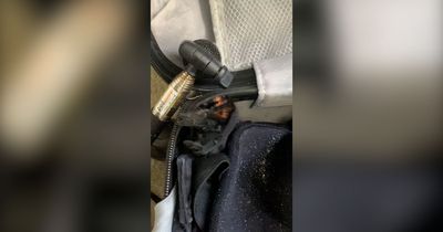 Man returning from holiday in Mexico finds tarantula in his suitcase