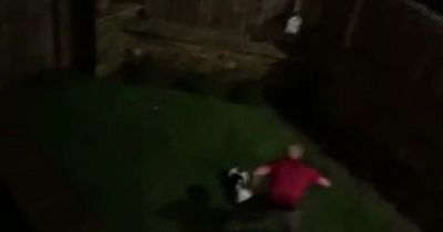 Police officer caught on film punching five-month-old puppy is fired
