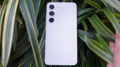 The Samsung Galaxy S24 might be very hard to tell apart from the Galaxy S23