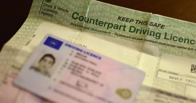 You could still be able to vote in local elections if you've lost your photo ID - here's how