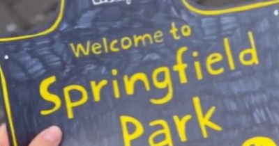 TikTok user creates city park sign after one spotted for sale on eBay